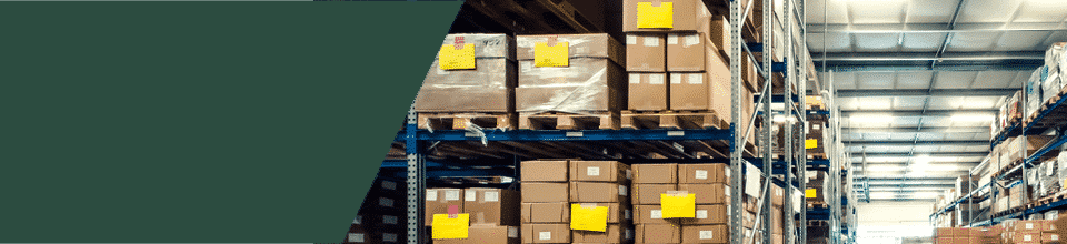 bản quyền codesoft