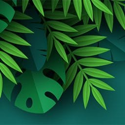 bán bản quyền indesign