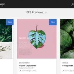 mua bản quyền indesign