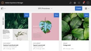 mua bản quyền indesign