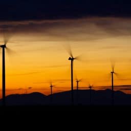 bán bản quyền windpro
