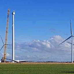 bản quyền windpro