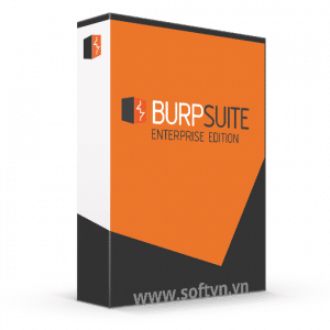 burpsuite-enterprise