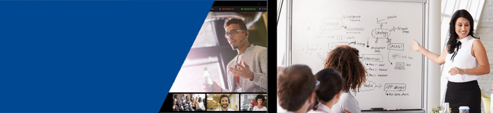 bản quyền bluejeans