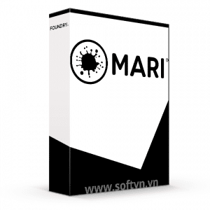 Mari Foundry logo