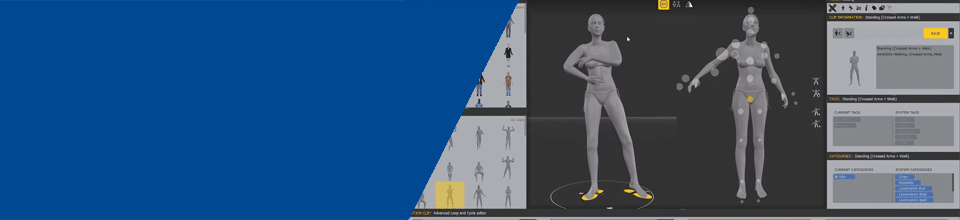 anima software