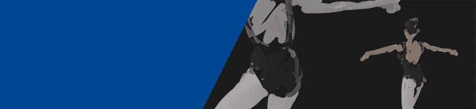 Boris FX Silhouette Paint