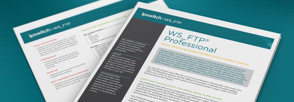 ws_ftp-professional