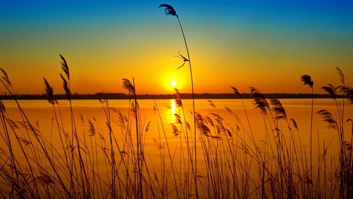 Các cài đặt trước đầu ra