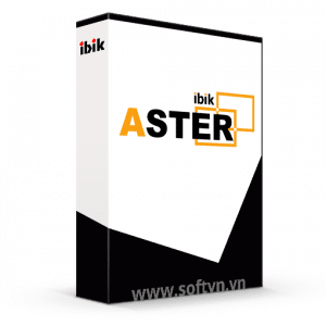 IBIK Ltd Aster logo