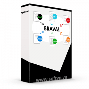 brava desktop logo