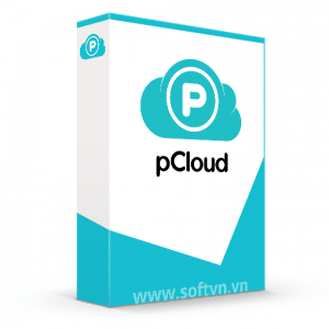pCloud Business logo