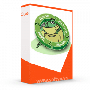 Toad Quest Logo