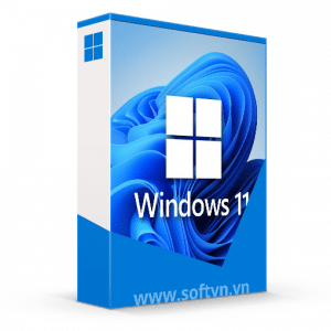 windows 11