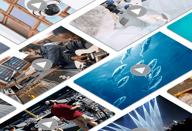 Wowza Desktop Video VOD 620x424 1