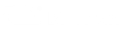 Bt Logo White 002