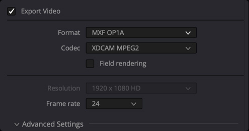 Expanded Encoder