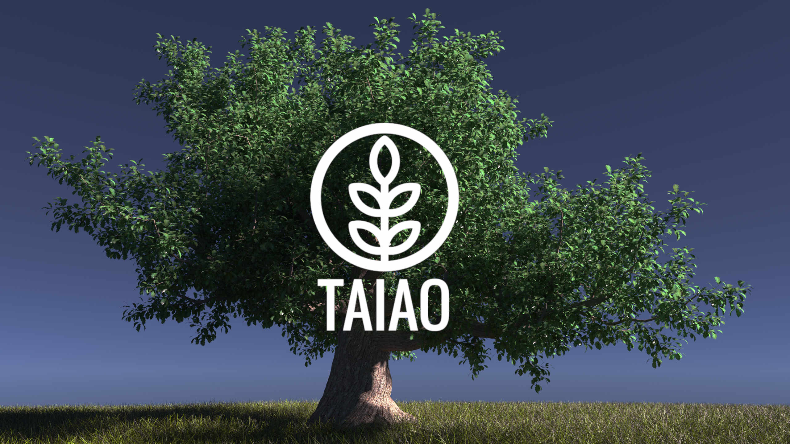 Taiao_keyvisual