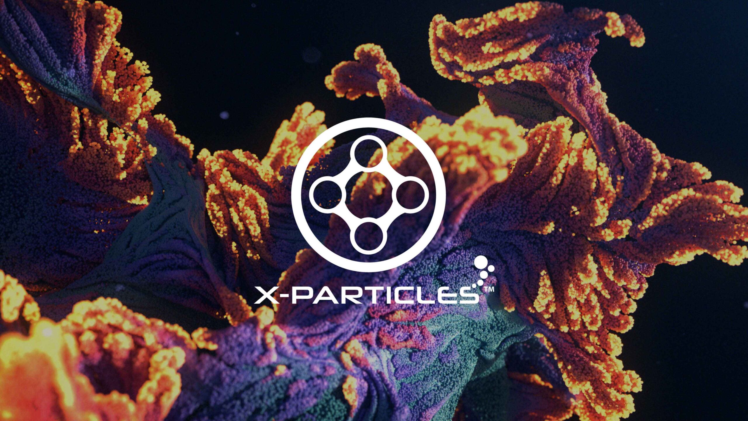 Xp_keyvisual