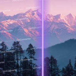 08 Watermark Remover Output
