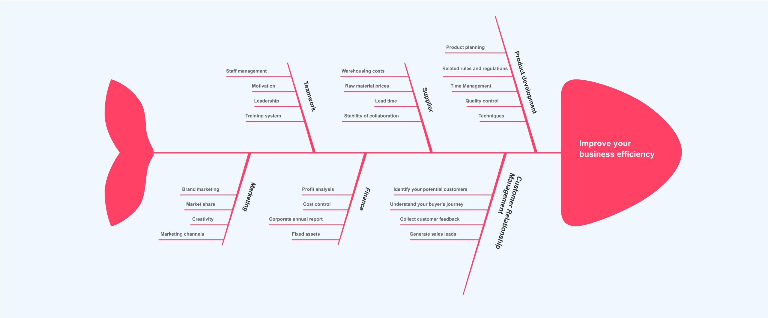 Example Fishbone Diagram