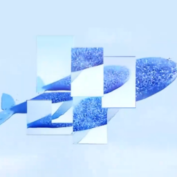 Videoframe_645