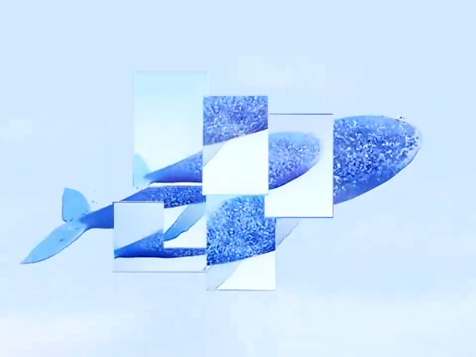 Videoframe_645