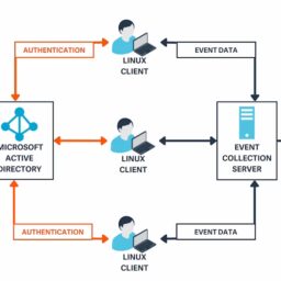 AD Bridge Infrastructure Diagram