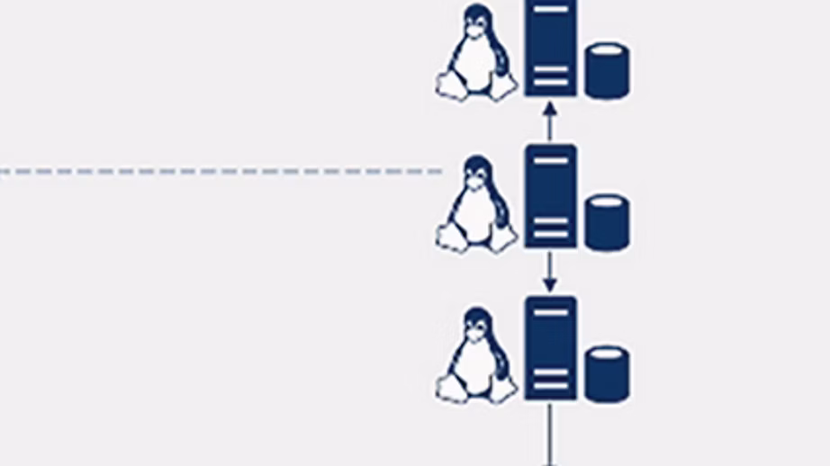 MediaCarouselWithFrames_linux Slide_610x384_RE1FqMH_VP1 539x440