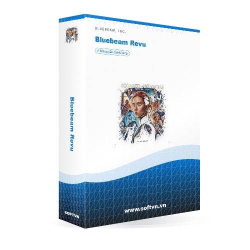 Softvn Box Bluebeam Revu Light 500x500