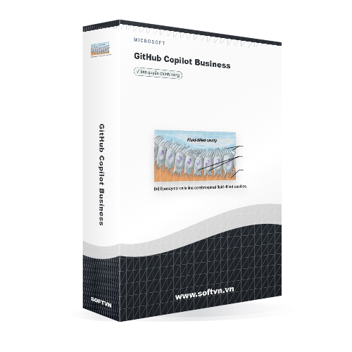 Softvn Box Github Copilot Business Light 500x500 (1)