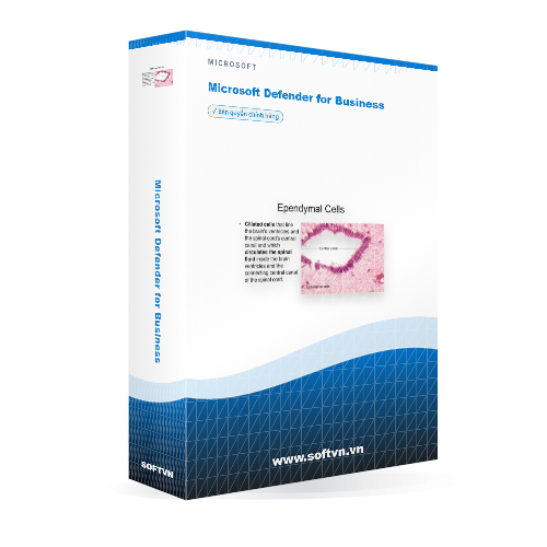 Softvn Box Microsoft Defender For Business Light 500x500