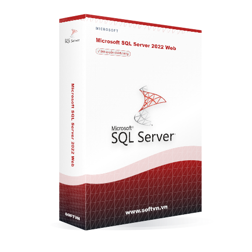 Softvn Box Microsoft Sql Server 2022 Web Light 500x500