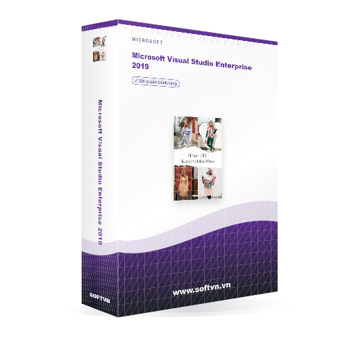 Softvn Box Microsoft Visual Studio Enterprise 2019 Light 500x500