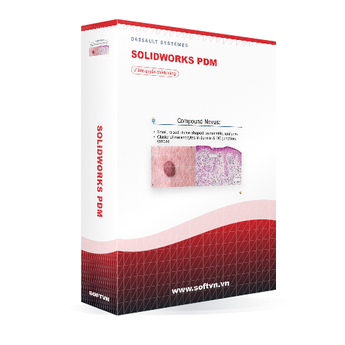 Softvn Box Solidworks Pdm Light 500x500